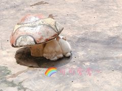 -云南野生动物园