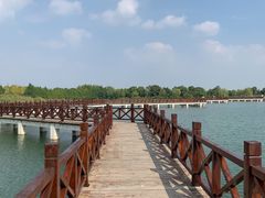 -南湖湿地公园