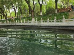 -皇家御河游(紫御湾码头)