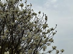 -莲池书院博物馆