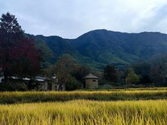 -塔川景区