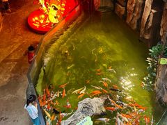 -正佳雨林生态植物园