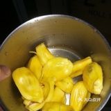 三天一家三口干了20斤的巨大无比的菠萝蜜，很甜啊