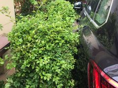 -汕尾巴黎半岛酒店