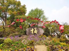 -无锡梅园公园