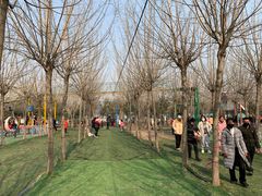 -遇见世外桃源教育农场