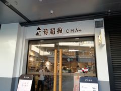 -莓超疯