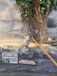 -Zoolung Zoolung动物主题公园(海信广场店)