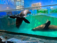 -常州海昌海洋探索馆