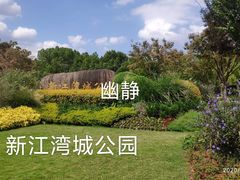 -新江湾城公园