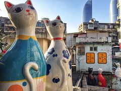 -猫咪博物馆(顶澳仔猫街店)