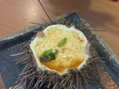 -海胆小馆(东北水饺·春柳店)