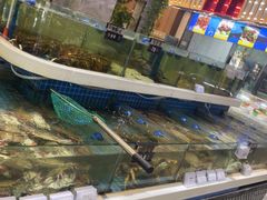 -大众海鲜(巨龙北路店)