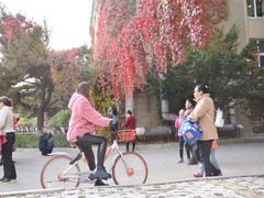 -辽宁大学(崇山校区)