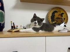 -荔康动物医院(康王北路店)