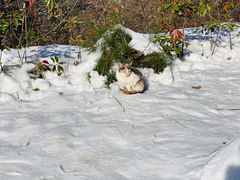 -终南山南五台景区