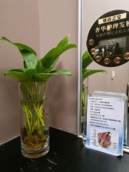 -史云逊养发护发