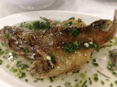 特色葱油飞鱼-岭南海晏楼(滨江东总店)