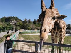 -贵州森林野生动物园