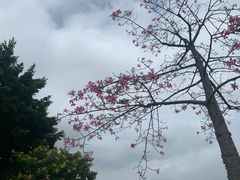 -华南师范大学(广州大学城校区)