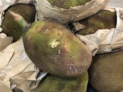 -沈阳市八家子水果批发市场