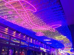 -bluefrog蓝蛙(皇庭广场店)