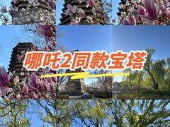 -玲珑塔公园