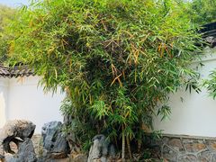 -深圳国际园林花卉博览园