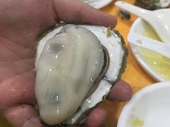 -蚝专家(北滘店)