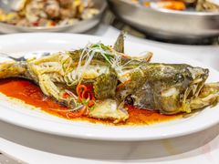 -大锅强·蒸海鲜青岛菜(吾悦广场店)