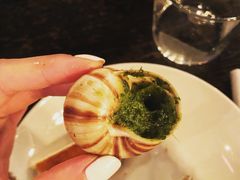 -金蜗牛