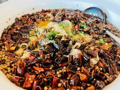 腾香水煮鱼-粤尚腾香居中餐厅(首都机场希尔顿店)