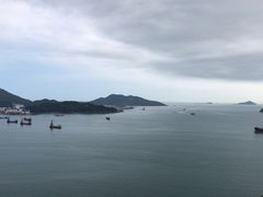 -黄家驹墓