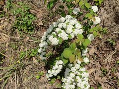 -宜昌富力皇冠假日酒店·咖啡1号西餐厅