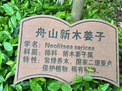 -上海佘山国家森林公园天马山园