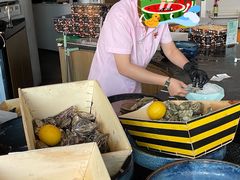 -斯普汇生蚝牛排馆(中骏世界城店)