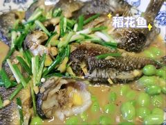 -老字号农家宴