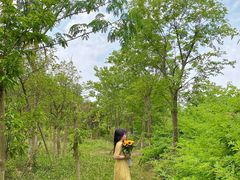 -白鹭湾湿地公园