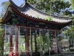 -北京市东城区东四九条小学