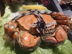 -云晓光头烧烤吧(新大陆广场店)