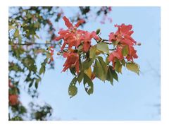 -广州市城市规划展览中心