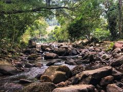 -广州市石门国家森林公园