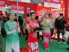 -武汉客厅中国文化博览中心