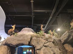 -陕西自然博物馆