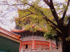 -广东圆玄道观