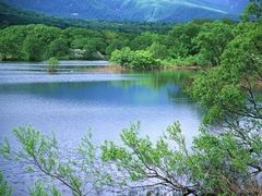 -麦当劳(东石东一路店)