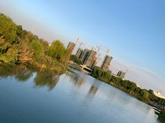 -九里河湿地公园