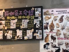 -Heymao猫咖.咖啡厅(东门店)