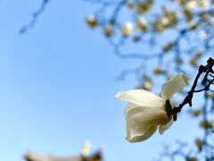 -西安市广仁寺
