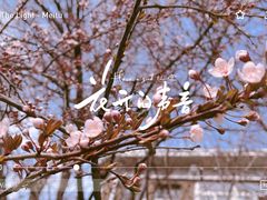 -睦南公园